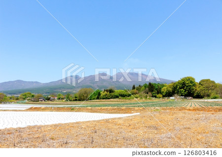 五月的淺山和高原菜田 信州的山脈 信州的風景 126803416