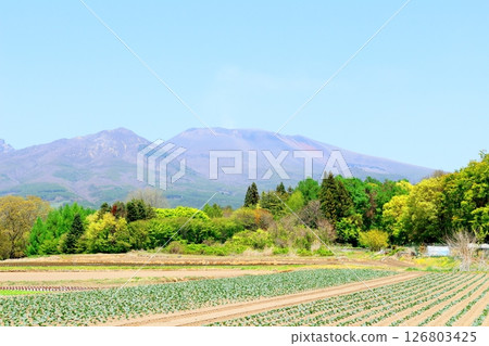 五月的淺山和高原菜田 信州的山脈 信州的風景 五月的淺山和高原菜田 信州的山脈 信州的風景 126803425