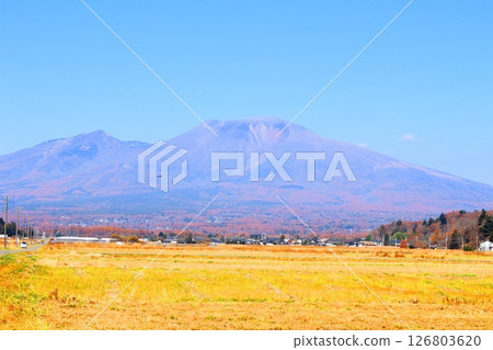 Autumn leaves on Mt. Asama in November Mountains of Shinshu Scenery of Shinshu 126803620