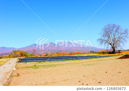 Autumn leaves on Mt. Asama in November Mountains of Shinshu Scenery of Shinshu Autumn leaves on Mt. Asama in November Mountains of Shinshu Scenery of Shinshu 126803672