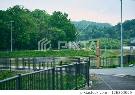 The road leading to Maruyama Marsh 126803699