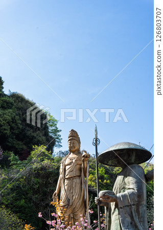 Beautiful spring weather and the Yakushi Kannon statue at "Cherry Blossoms at Fudoson Isshinji Temple (Oita Prefecture)" 126803707