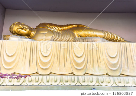 The Buddha's Nirvana Statue shines in the light of a warm spring day: Cherry blossoms at Fudoson Isshinji Temple (Oita Prefecture) The Buddha's Nirvana Statue shines in the light of a warm spring day: Cherry blossoms at Fudoson Isshinji Temple (Oita Prefecture) 126803887