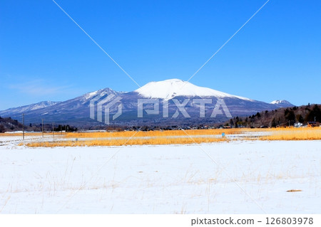 Snow-capped Mt. Asama in March Mountains of Shinshu Scenery of Shinshu 126803978