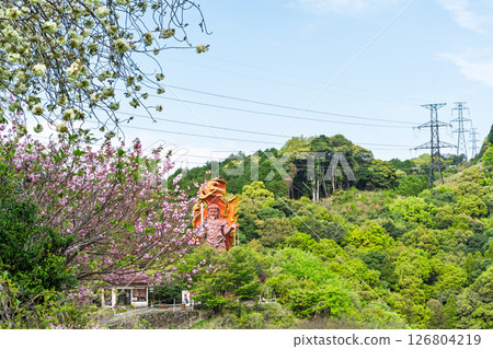 明媚春光中閃耀的不動明王大像“不動明王一心寺的櫻花（大分縣）” 126804219