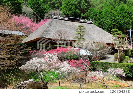 Former Kinoshita Family Residence Komagane City Shinshu Scenery 126804288