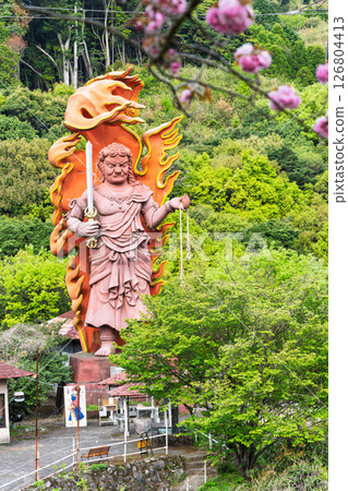 明媚春光中閃耀的不動明王大像“不動明王一心寺的櫻花（大分縣）” 126804413