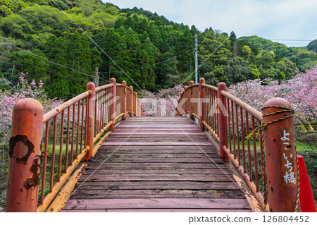 Cherry blossoms blooming in the temple grounds on a beautiful spring day (double cherry blossoms) "Cherry Blossoms at Fudoson Isshinji Temple (Oita Prefecture)" Cherry blossoms blooming in the temple grounds on a beautiful spring day (double cherry blossoms) "Cherry Blossoms at Fudoson Isshinji Temple (Oita Prefecture)" 126804452