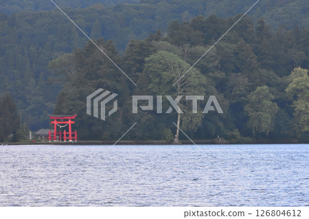 Torii gate on the lakeside Torii gate on the lakeside 126804612