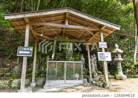The temple grounds are illuminated on a beautiful spring day: "Cherry Blossoms at Fudoson Isshinji Temple (Oita Prefecture)" 126804618