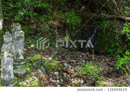 春光明媚，寺院內燈火通明：“不動尊一心寺的櫻花（大分縣）” 126804619