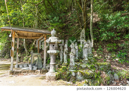 The temple grounds are illuminated on a beautiful spring day: "Cherry Blossoms at Fudoson Isshinji Temple (Oita Prefecture)" 126804620