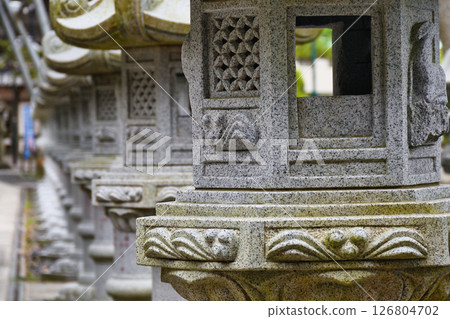 Tanjoji Temple (Kamogawa City, Chiba Prefecture) 126804702