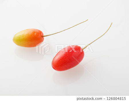 白色背景的橡膠果 白色背景的橡膠果 126804815