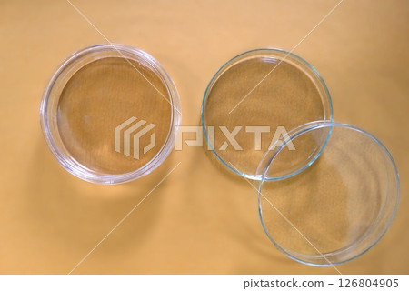 Glass Petri dish 126804905