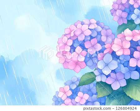 繡球花雨季 126804924