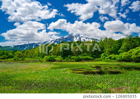 Mount Chokai, Kuwanokidai Marshland 126805035