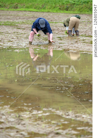 Landscape landscape 126805047