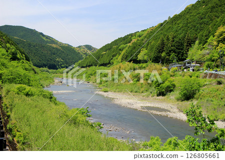 新鮮的綠色四萬十川 126805661