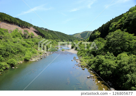 新鮮的綠色四萬十川 新鮮的綠色四萬十川 126805677