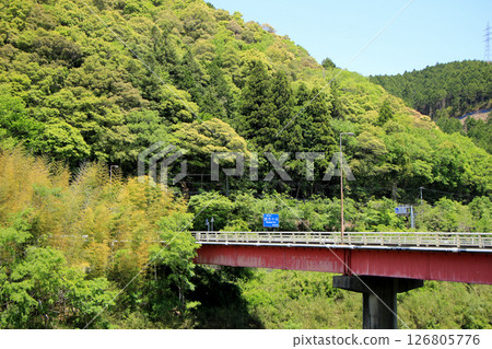 Fresh greenery at Utsuigawa Bridge Fresh greenery at Utsuigawa Bridge 126805776