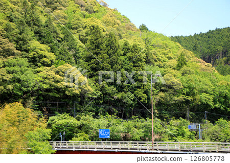 Fresh greenery at Utsuigawa Bridge Fresh greenery at Utsuigawa Bridge 126805778
