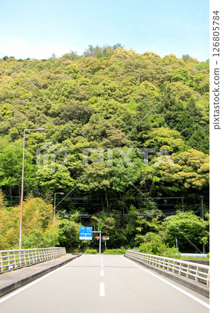 Fresh greenery at Utsuigawa Bridge Fresh greenery at Utsuigawa Bridge 126805784