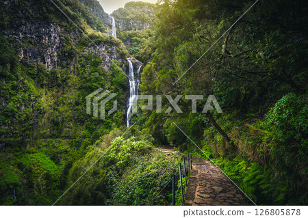 Stunning levada hiking trail and high waterfall, Madeira Island, Portugal Stunning levada hiking trail and high waterfall, Madeira Island, Portugal 126805878