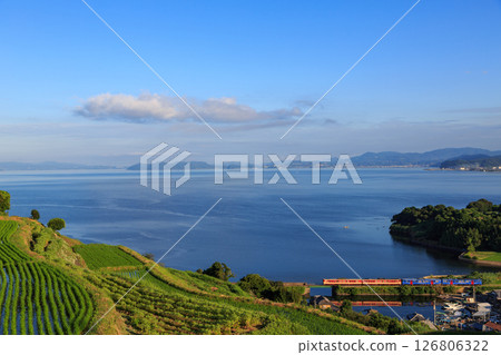 A distant view of Omura Line diesel railcars amid Omura Bay and rice terraces A distant view of Omura Line diesel railcars amid Omura Bay and rice terraces 126806322