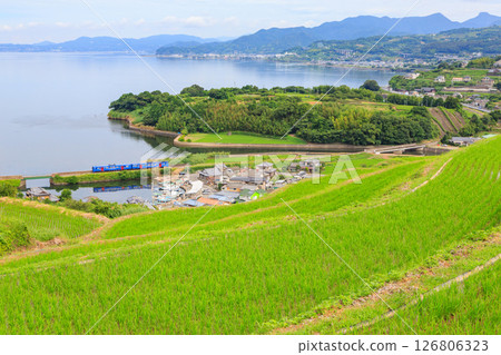 View of Omura Bay from the Enokushi rice terraces View of Omura Bay from the Enokushi rice terraces 126806323