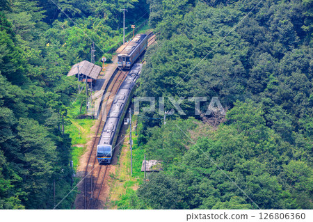 A rapid train on the Tosan Line overtakes a local train at the remote switchback station of Tsubojiri 126806360