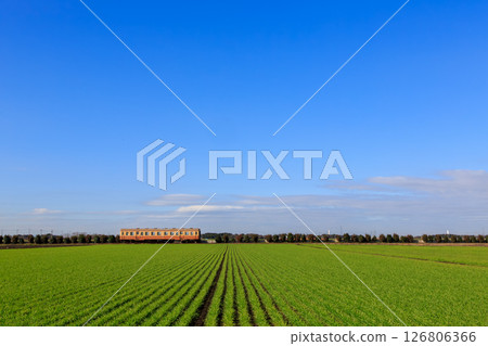 Hitachinaka Seaside Railway running against the backdrop of a blue winter sky 126806366