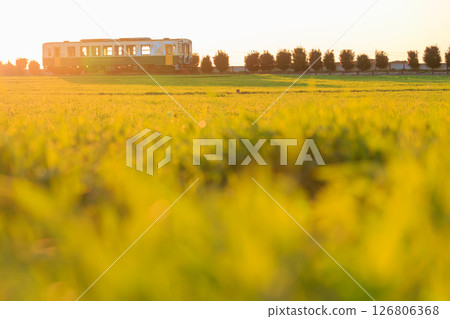 溫暖陽光的冬日里的常陸那珂海濱鐵路 126806368