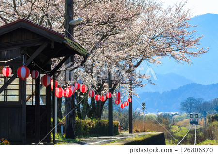 若狹鐵道的四季：櫻花盛開的阿部站 126806370