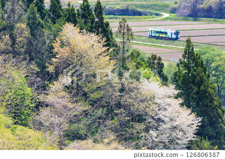 View of the Yuri Kogen Railway with cherry blossoms from the top of a hill 126806387