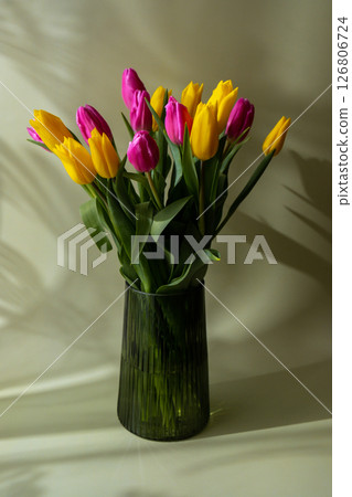 Fresh bouquet of colorful tulip flowers in pastel background with shadows. Minimalist design greeting card for springtime holidays. Gift for birthday 8 March Mother's Day Valentine's day Women's Day. Fresh bouquet of colorful tulip flowers in pastel background with shadows. Minimalist design greeting card for springtime holidays. Gift for birthday 8 March Mother's Day Valentine's day Women's Day. 126806724