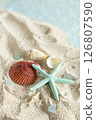Starfish and shells washed up on a summer beach 126807590