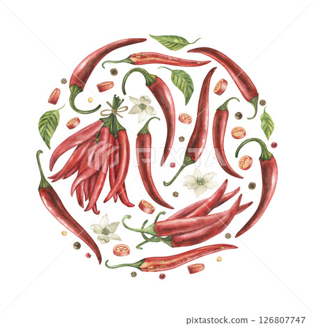 Round composition of red chili pepper, green leaves, flowers, seeds, slices. Watercolor illustration is hand-drawn in botanical style. For poster design, cafe, menu, logo, kitchen, postcards, textile Round composition of red chili pepper, green leaves, flowers, seeds, slices. Watercolor illustration is hand-drawn in botanical style. For poster design, cafe, menu, logo, kitchen, postcards, textile 126807747