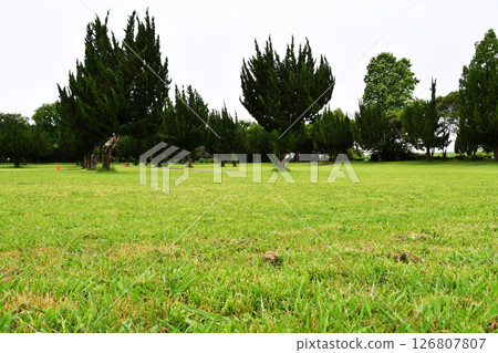 Akigase Park_06 126807807