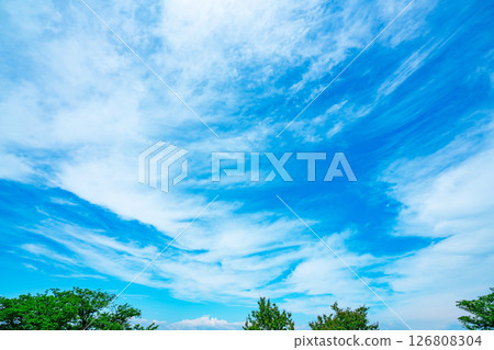 藍天，白雲和樹林 126808304