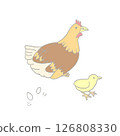雞、小雞和雞蛋 雞、小雞和雞蛋 126808330