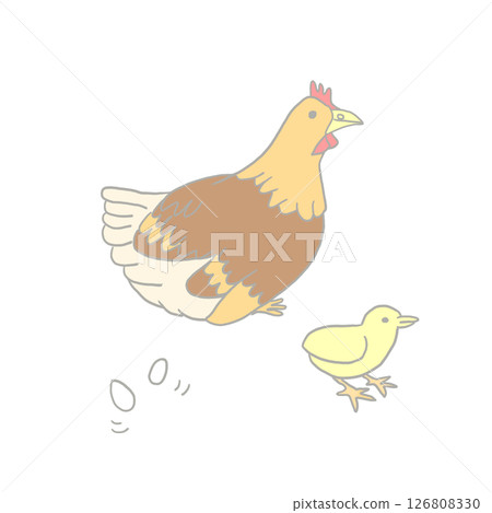 雞、小雞和雞蛋 雞、小雞和雞蛋 126808330