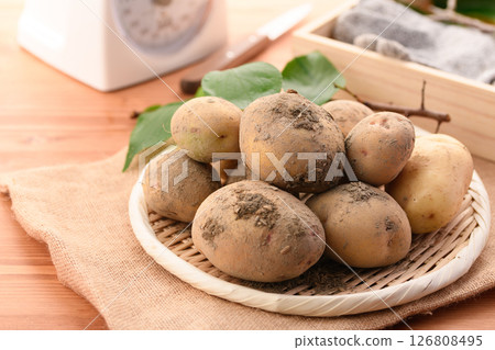 freshly harvested potatoes freshly harvested potatoes 126808495