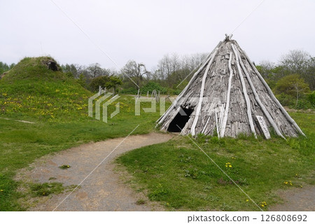 Sannai Maruyama遺址 126808692