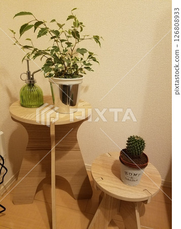 Small foliage trees and cacti Small foliage trees and cacti 126808933