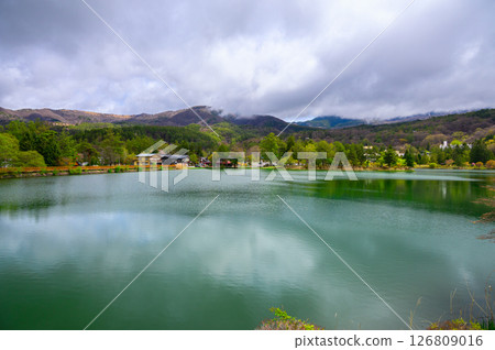 Fresh greenery at Lake Tateshina [Chino City] 126809016