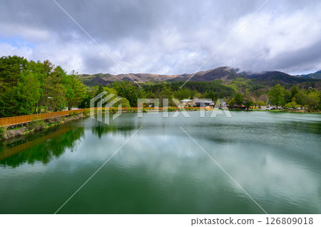 Fresh greenery at Lake Tateshina [Chino City] 126809018