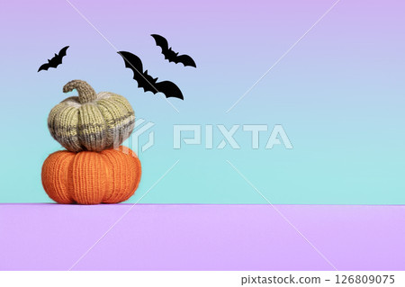Knitted orange and green pumpkins with black bats on purple green gradient background, autumn composition, front view. Halloween concept. 126809075