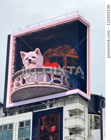 The famous 3D dog 126809196