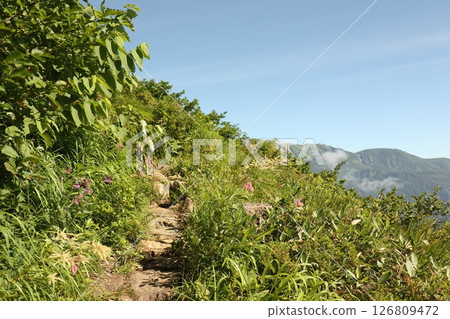 Happo-one hiking trails and various plants Happo-one hiking trails and various plants 126809472